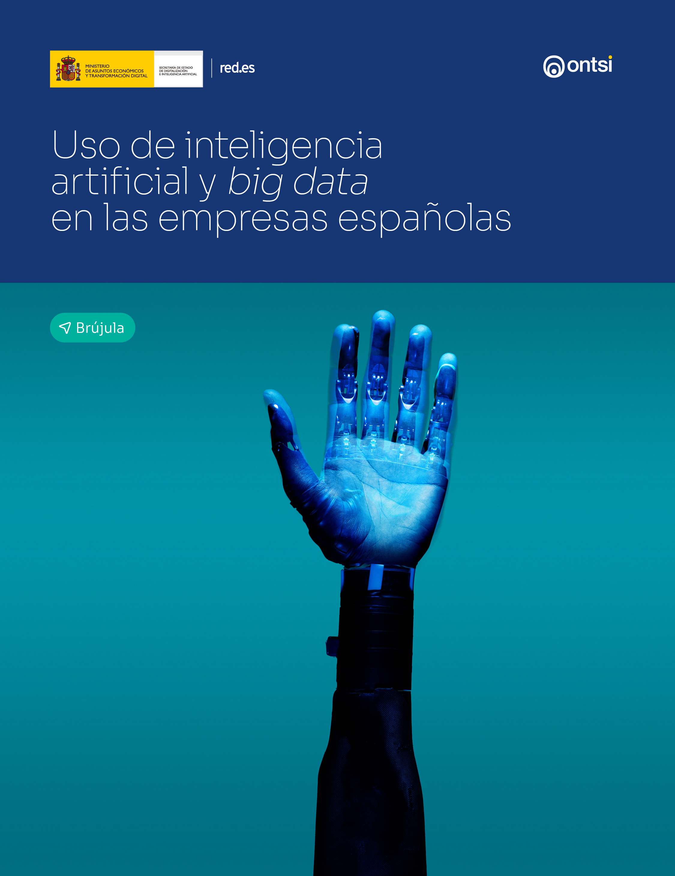 Associação Espanhola de Varejo: A hiperpersonalização causada pelo Big  Data e pela IA